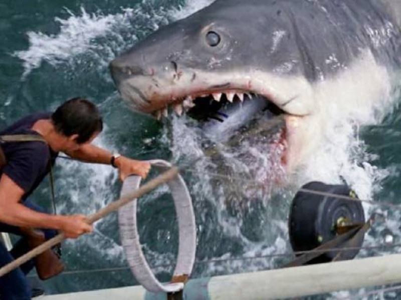 Fotograma de la película Tiburón