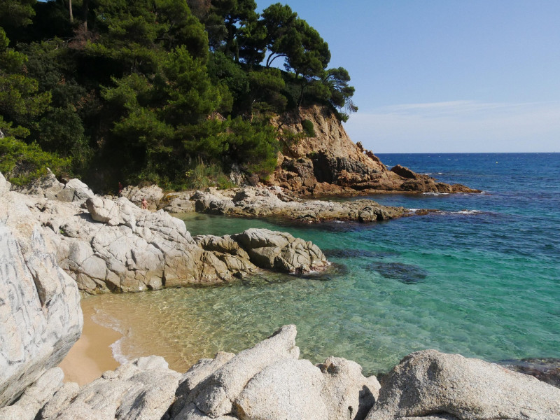 Cataluña tiene una playa para cada gusto: desde la animada Barceloneta con su accesibilidad inclusiva hasta la solitaria Cala Fonda para quienes buscan un rincón salvaje