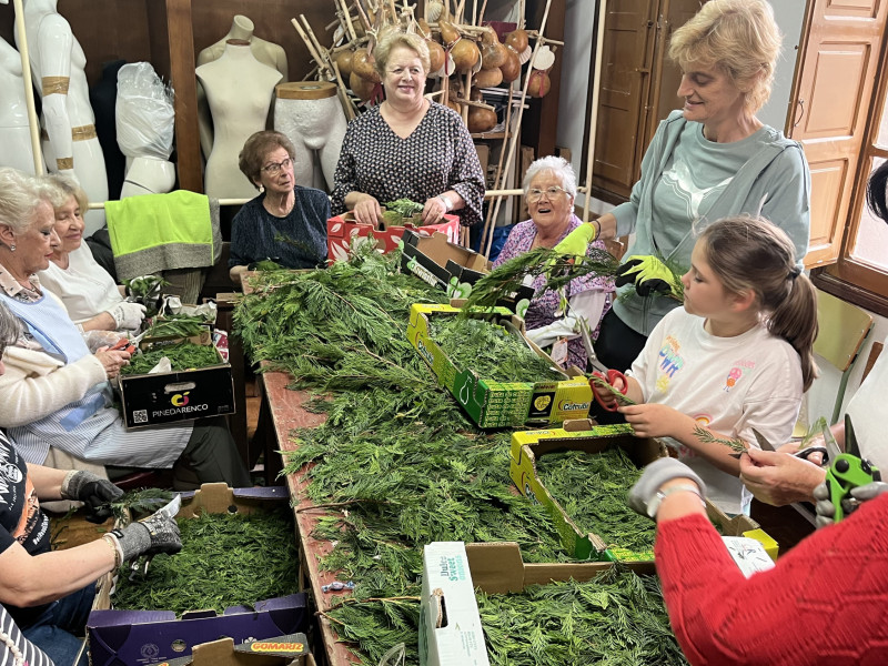 0Taller de picado de tuya en Viveiro