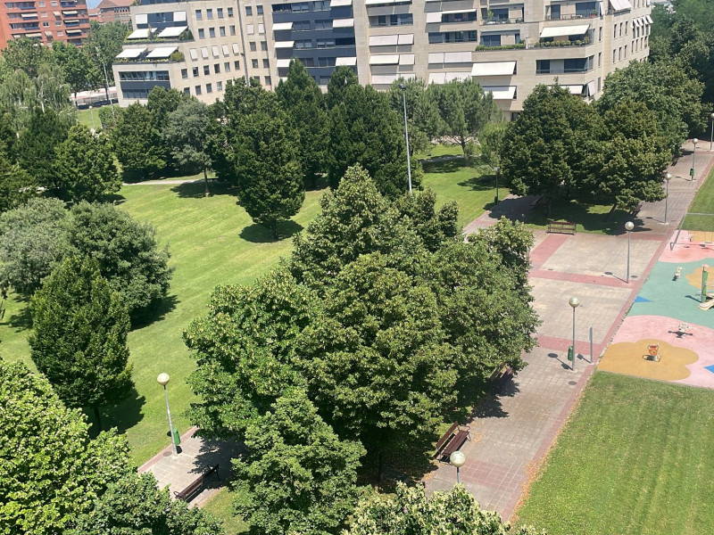 Imagen de un parque de Logroño en la actualidad