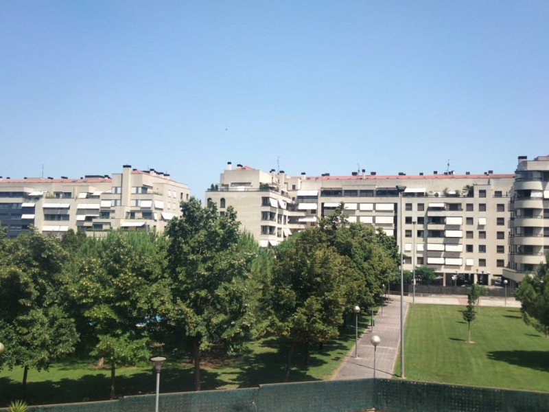 Oasis en la ciudad