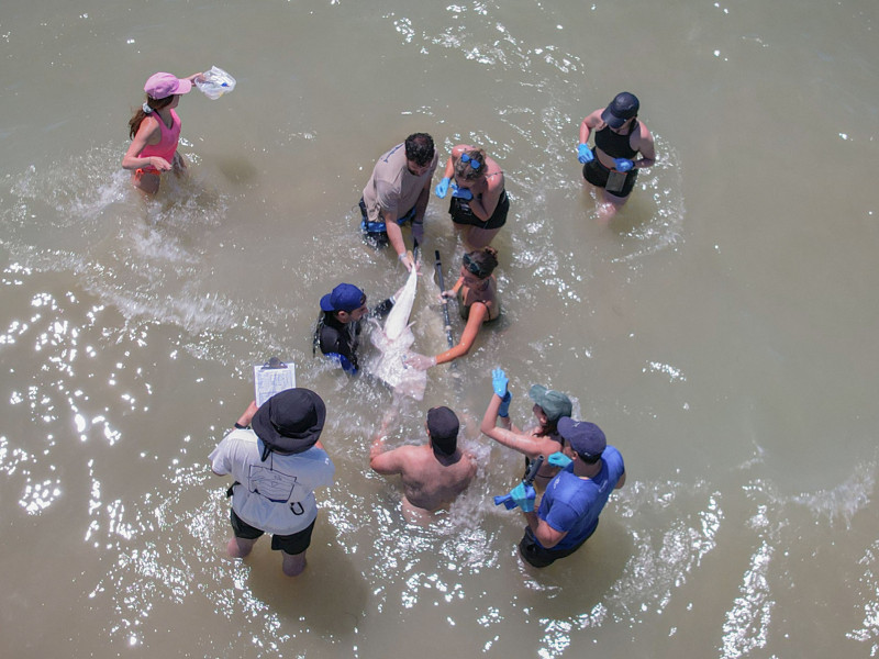 Durante uno de los muestreos en Cadiz
