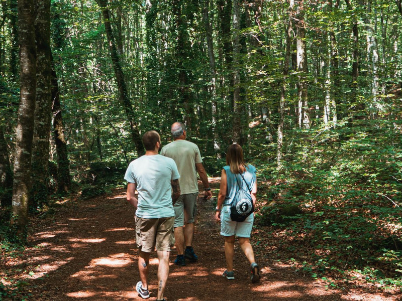 Vivir en contacto con la naturaleza a porta múltiples beneficios