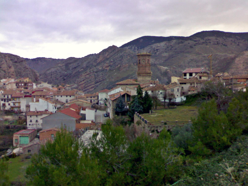 Viguera