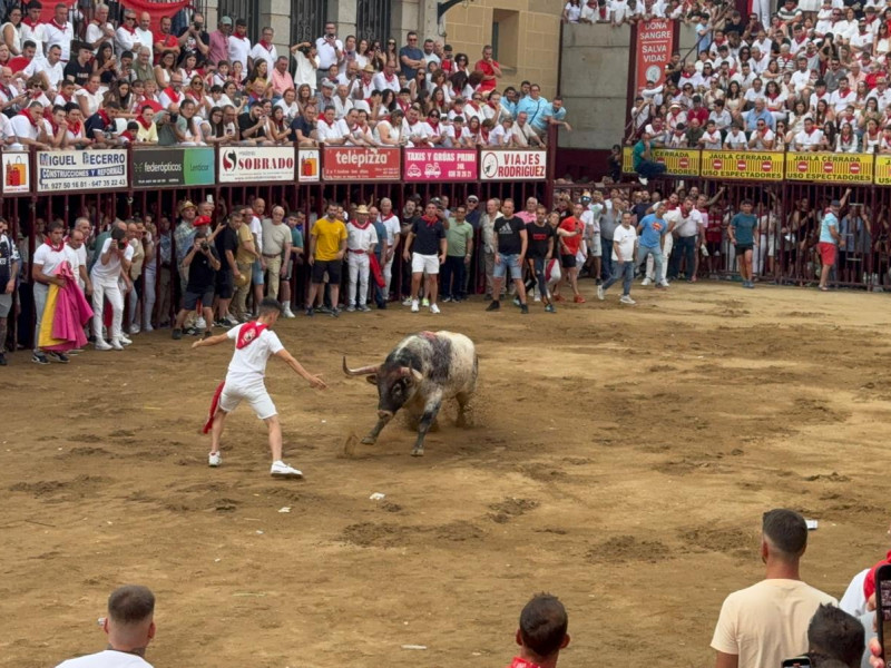 Recortes en la Plaza de Toros de Coria