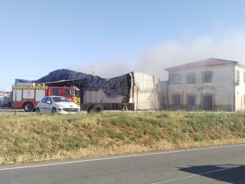 El matadero de Pollos Canos de Salvatierra ha quedado arrasado