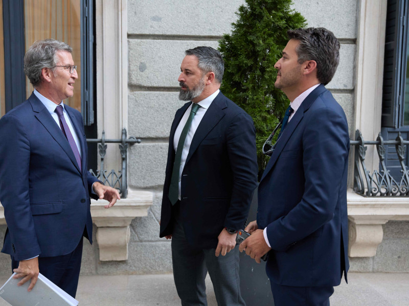 El presidente del PP, Alberto Núñez Feijóo (i) conversa con el presidente de VOX, Santiago Abascal