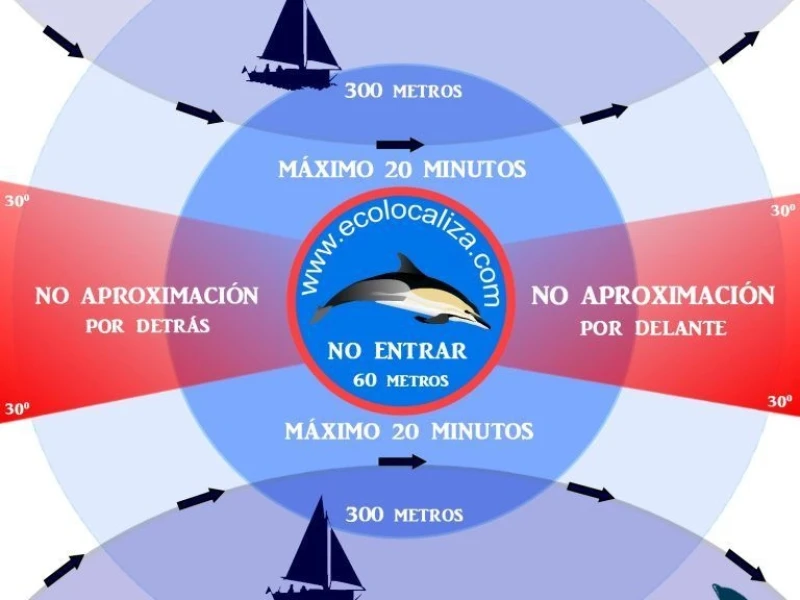 Protocolo avistamiento de cetáceos