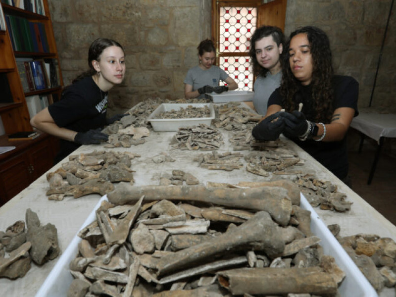Analisis de restos oseos aparecidos en la restaruación de la capilla de san Isidrode la Catedral de Palencia, en la imagen la arqueóloga, Emma Bonthorne, junto a algunos de los alumnos estudiantes de antropología de diversos paises