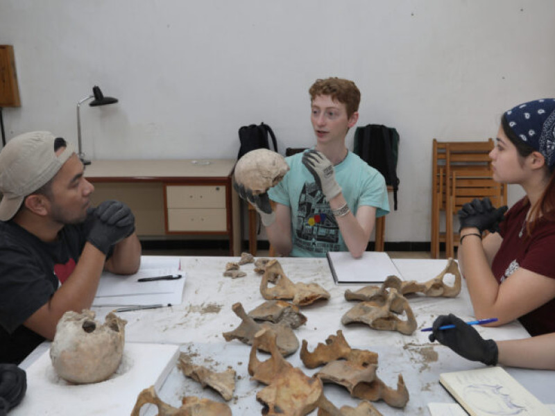 Analisis de restos oseos aparecidos en la restaruación de la capilla de san Isidrode la Catedral de Palencia, en la imagen la arqueóloga, Emma Bonthorne, junto a algunos de los alumnos estudiantes de antropología de diversos paises