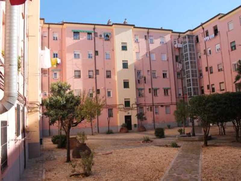 edifici