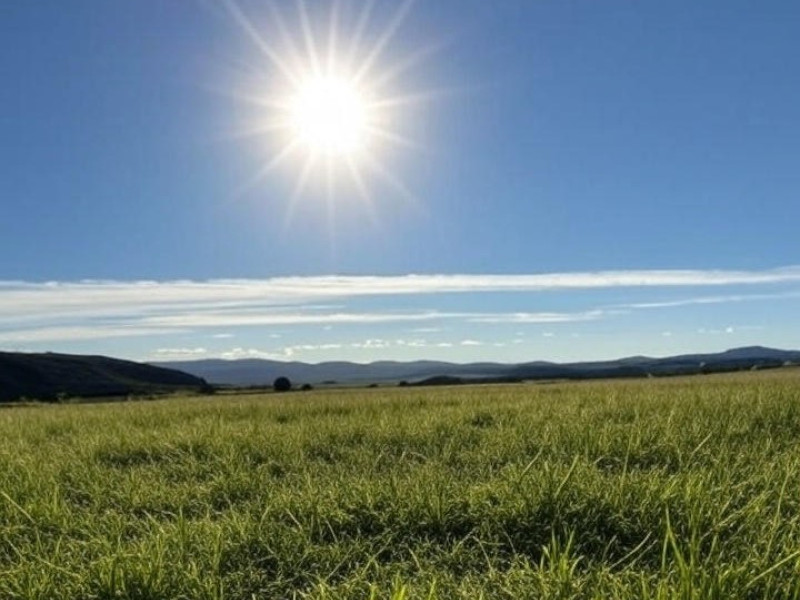 Sol radiante