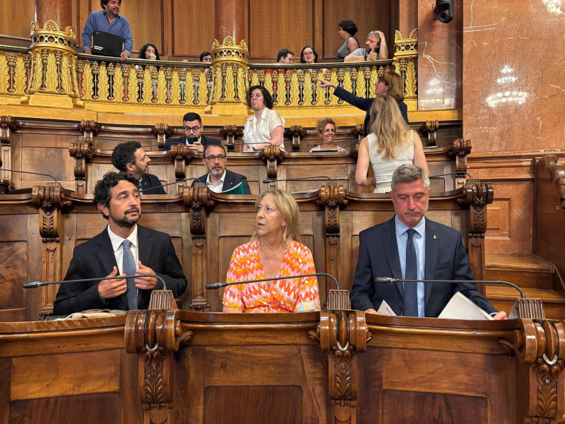 pleno