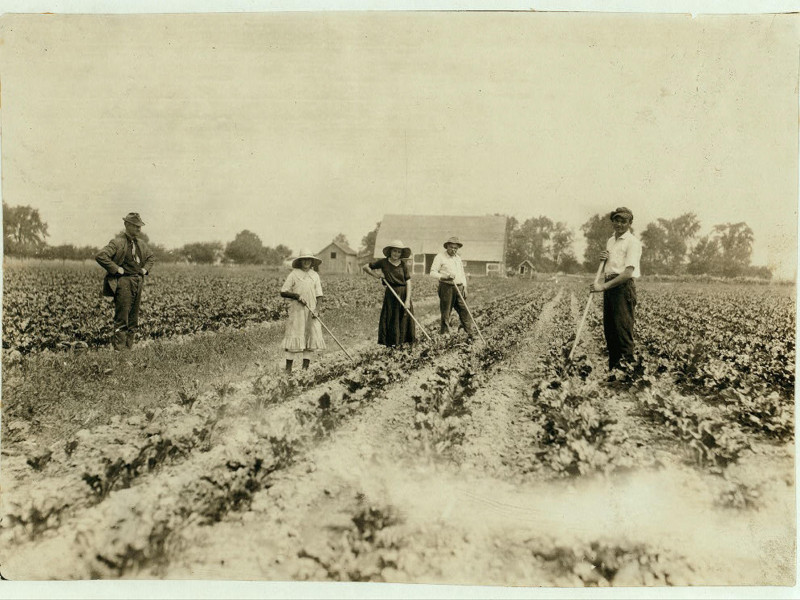 Fotografía de la familia Kastvan, trabajadores inmigrantes húngaros que desgranan remolachas cerca de Corunna, Michigan, lo que refleja su trabajo agrícola y su experiencia como inmigrantes.