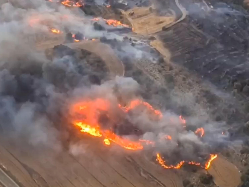 Los Bomberos de la Generalitat afrontan una difícil extinción de dos incendios simultáneos en la comarca de la Segarra, el de Torrefeta y Florejacs que afecta a una superficie de unas 1.800 hectáreas, mientras que el de Sanaüja afecta a unas 40 hectáreas