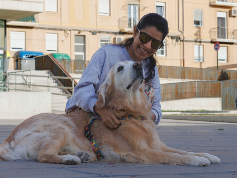 Golden Retriever de 11 años viajó de Venezuela a España y juega en el parque con su dueño, Alcoy
