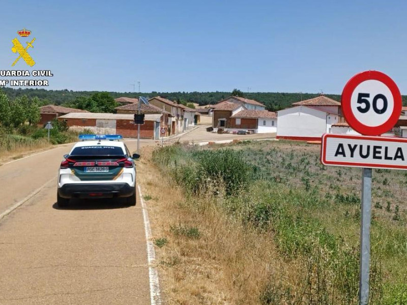 Investigado por un delito de maltrato animaltras causar dos perros de su propiedad lamuerte de otro animal