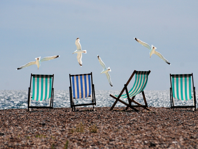 Vacaciones de verano