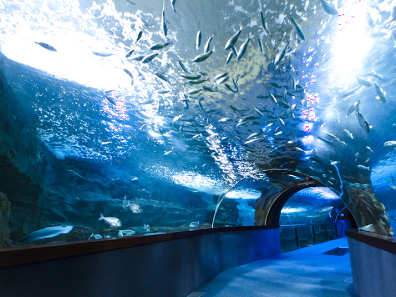 Aquarium de San Sebastián
