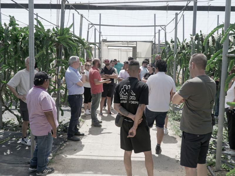 La Fundación Miguel García clausura con éxito el curso “Innovación en el Manejo del Suelo, Control Biológico de Plagas y Futuro del Tomate y el Pepino en Europa”