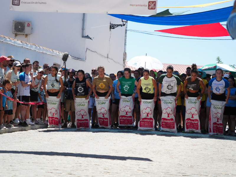 Carrera de sacos