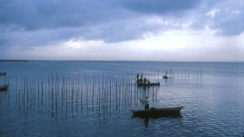 • Desde la Concejalía de Devesa-Albufera se sigue trabajando para avanzar en la recuperación del lago• Desde la Concejalía de Devesa-Albufera se sigue trabajando para avanzar en la recuperación del lago• Desde la Concejalía de Devesa-Albufera se sigue trabajando para avanzar en la recuperación del lago• Desde la Concejalía de Devesa-Albufera se sigue trabajando para avanzar en la recuperación delDesde la Concejalía de Devesa-Albufera se sigue trabajando para avanzar en la recuperació