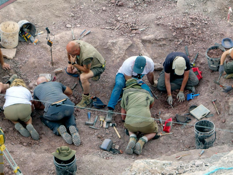 El pequeño municipio de La Rioja en el que vivió uno de los dinosaurios más grandes de la península ibérica: "Por todas partes"