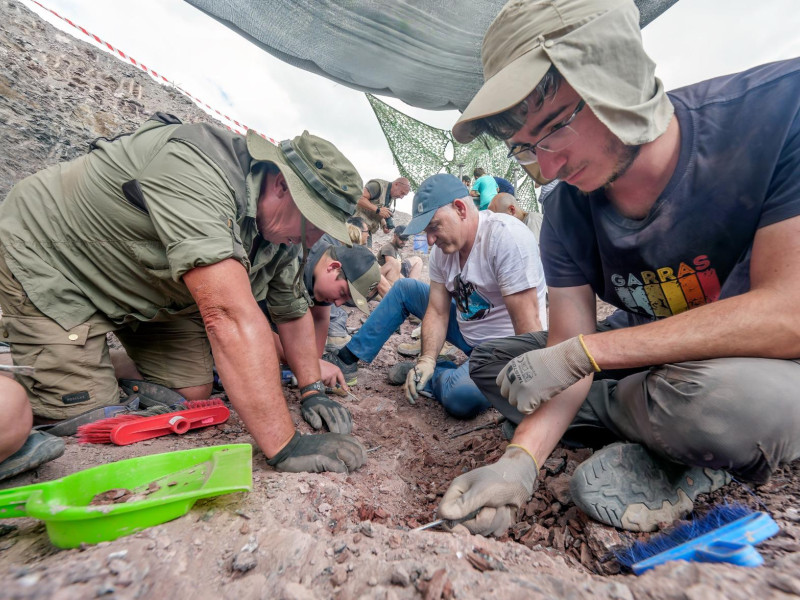 El pequeño municipio de La Rioja en el que vivió uno de los dinosaurios más grandes de la península ibérica: "Por todas partes"
