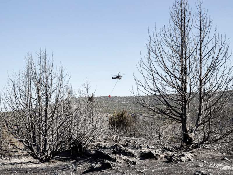 Bosque de enebros calcinado entre Santo Domingo de Silos, Santibáñez del Val y Quintanilla del Coco, Burgos (2022)