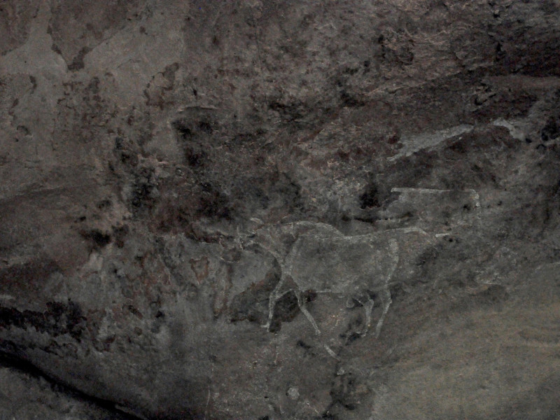 Refugios rocosos de Bhimbetka, Raisen, Madhya Pradesh, India - 22 de enero de 2016: Pintura rupestre prehistórica que muestra un toro corriendo de color blanco en Bhimbetka.