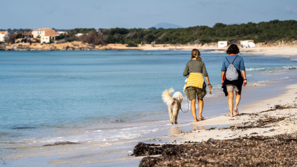 Dos mujeres de mediana edad paseando con un perro, playa de Ses Covetes, Es Tenc, Campos, Mallorca