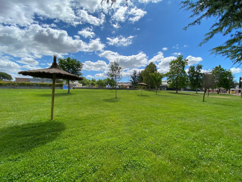 Pradera de la piscina municipal de verano de Collado Villalba