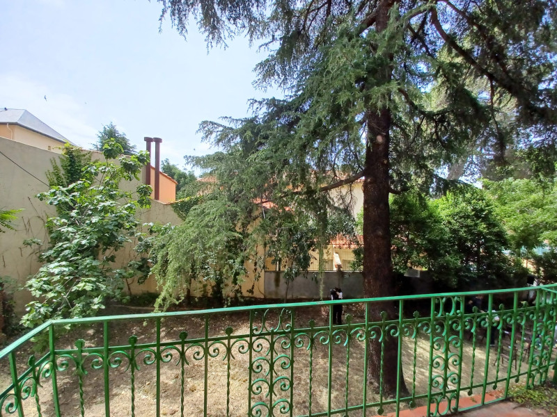 El jardín desde el balcón con el cedro que plantó Aleixandre en 1940