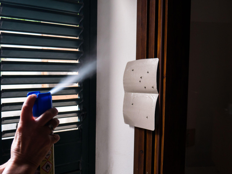 Los insecticidas son un método extendido, pero son perjudiciales para nosotros y el medioambiente.