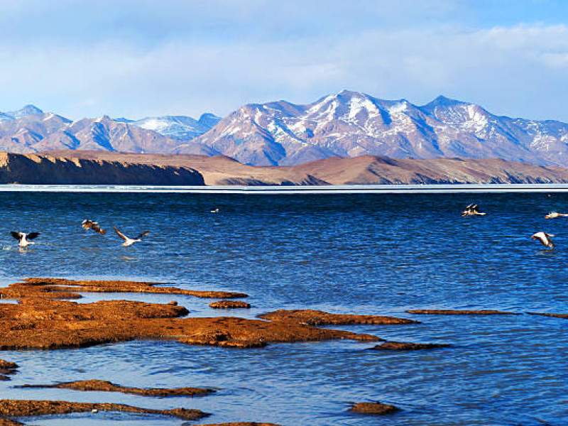 lago manasarovar
