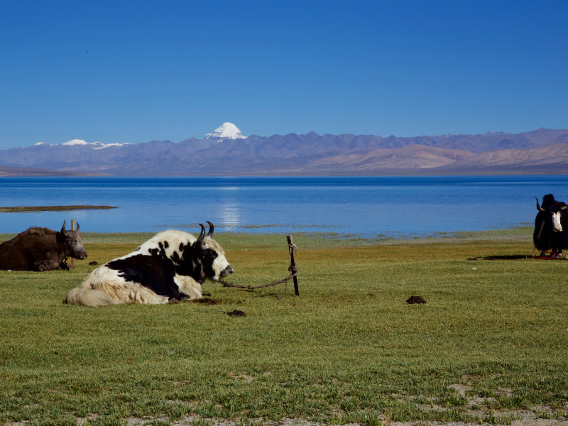 lago manasarovar