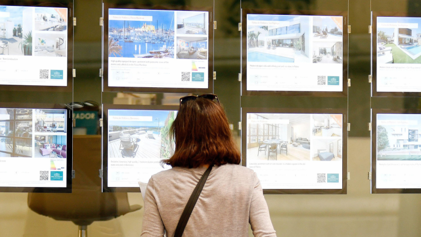 Una persona mira anuncios de alquileres de pisos en Palma de Mallorca en una inmobiliaria