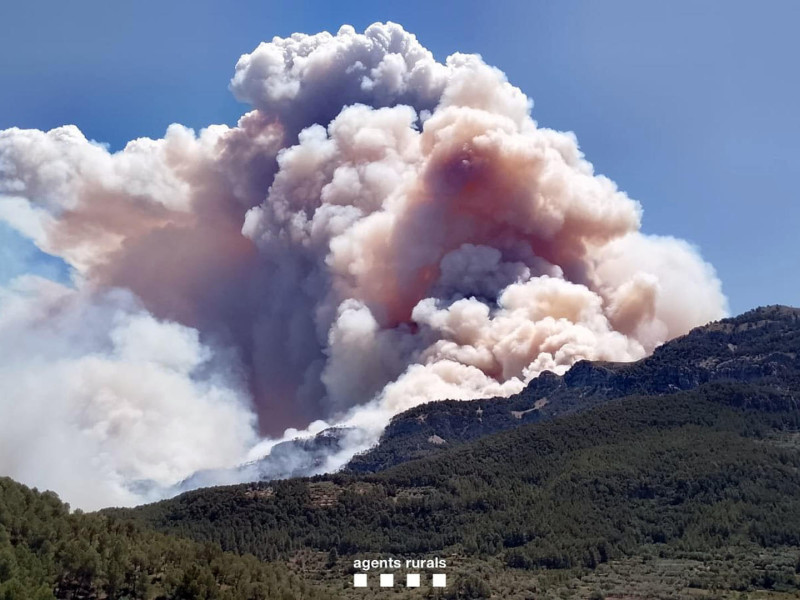 El incendio forestal de Paüls (Tarragona)