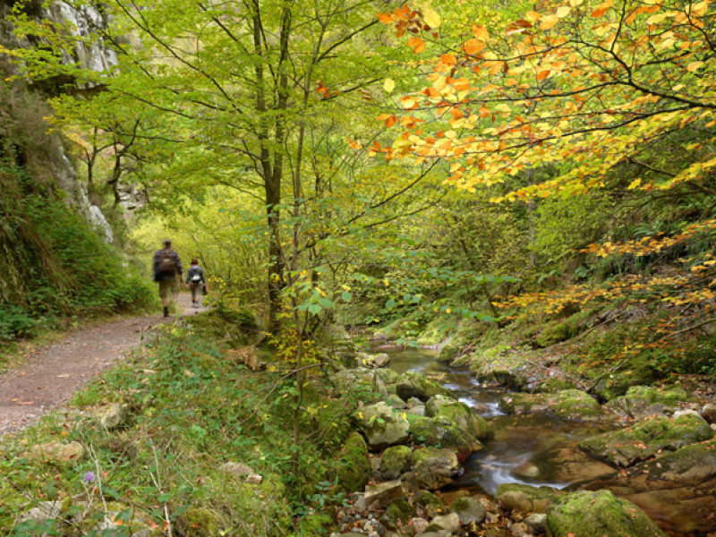 Senderistas por la Ruta del Alba