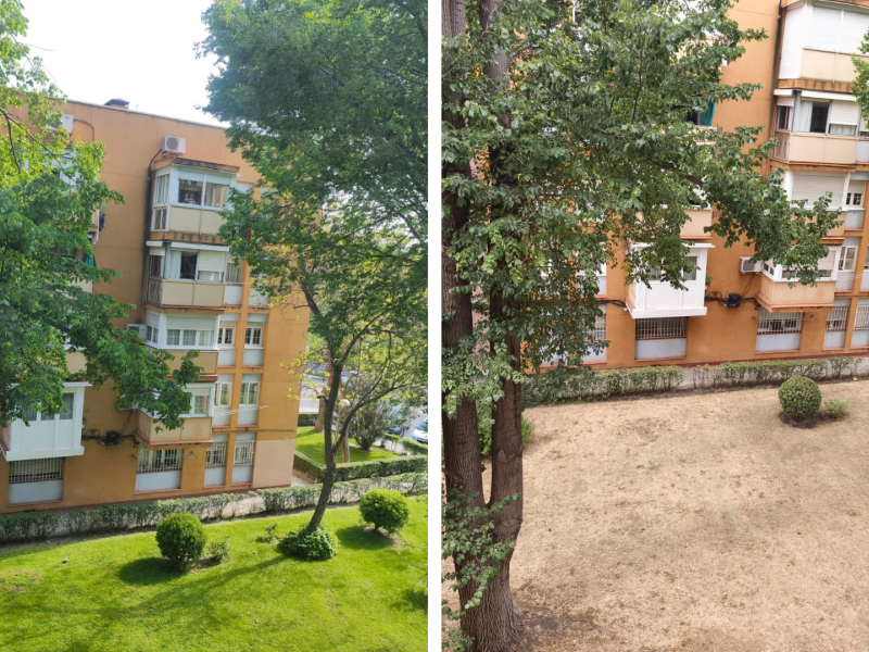 Diferencia jardines