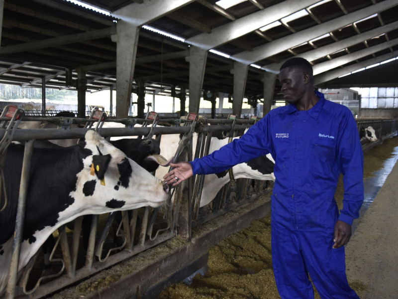 Naturleite migrantes