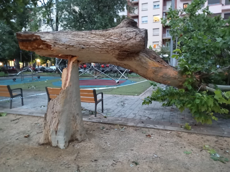 Resumen de una DANA histórica en La Rioja que deja más de un centenar de incidencias, granizo y cortes eléctricos