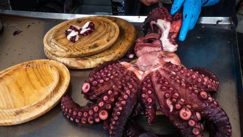 pulpo gallego