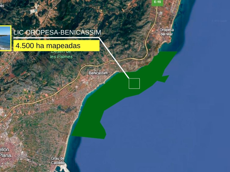 Mapeado de posidonia entre Oropesa del Mar y Benicàssim