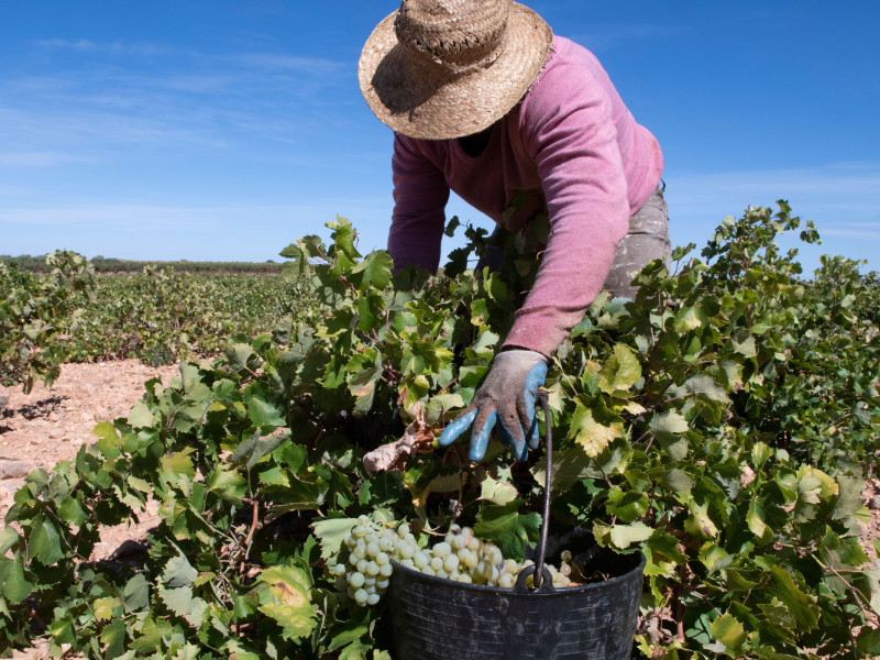 La gente del campo también sufre las inclemencias del clima