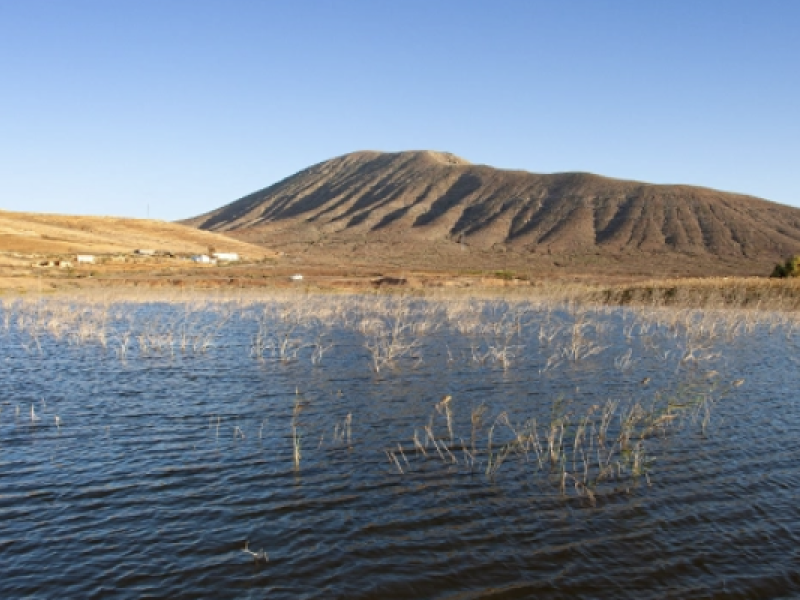 Entre las soluciones desarrolladas se encuentra el uso de agua tratada para la restauración ecológica de laderas con especies autóctonas o la implantación de un humedal artificial