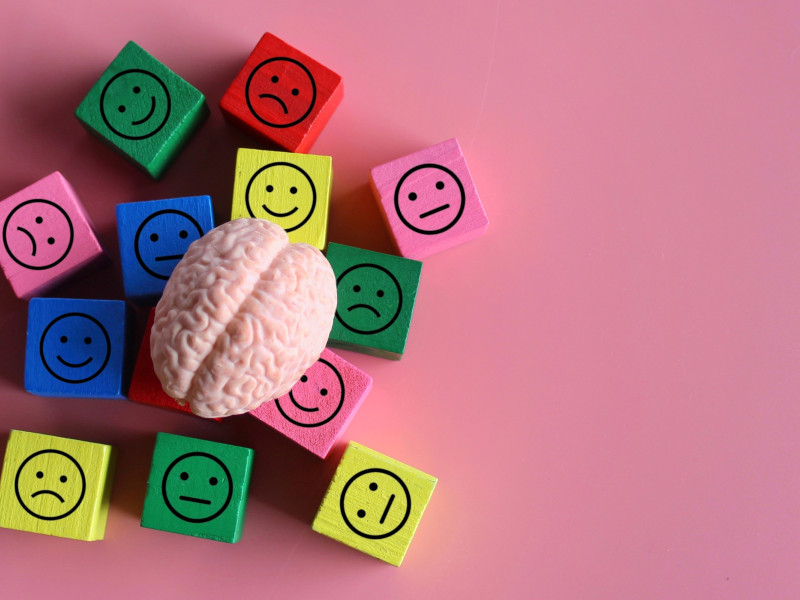 Cerebro humano con emociones