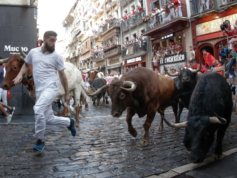 Uno de los mozos es perseguido por toros de la ganadería gaditana de La Palmosilla durante el séptimo encierro de los Sanfermines 2025 este domingo en Pamplona