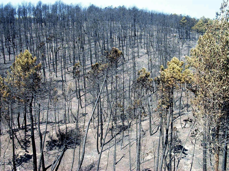 20 aniversario del incendio de Guadalajara: ¿qué hemos aprendido?