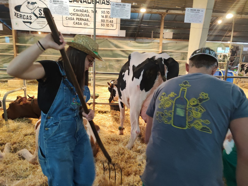 Ganaderos de leche cuidando de sus animales en la feria de Muimenta